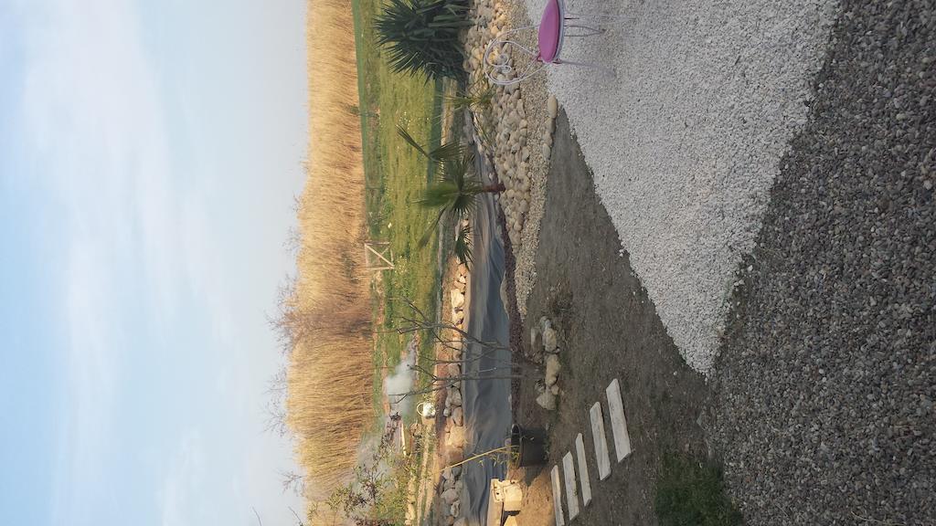 Aux Roses De L'Etang Ξενοδοχείο Capestang Εξωτερικό φωτογραφία