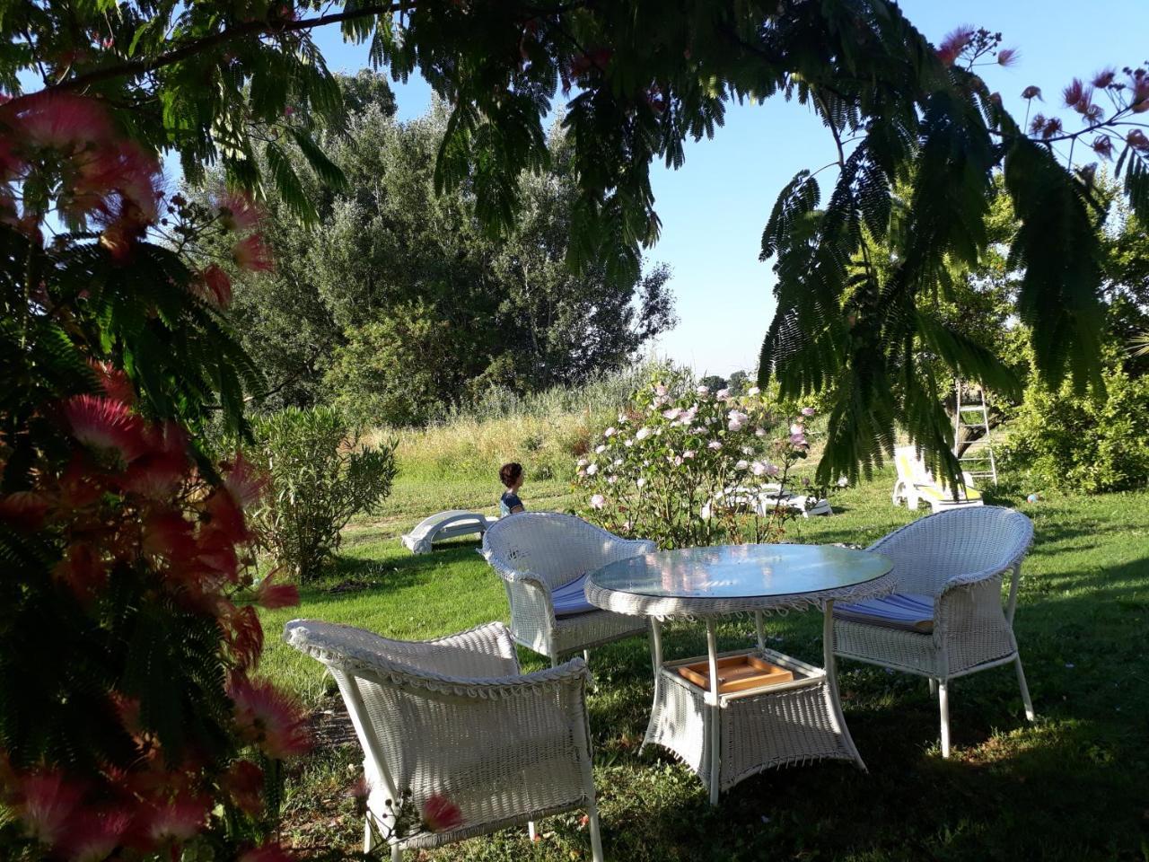 Aux Roses De L'Etang Ξενοδοχείο Capestang Εξωτερικό φωτογραφία