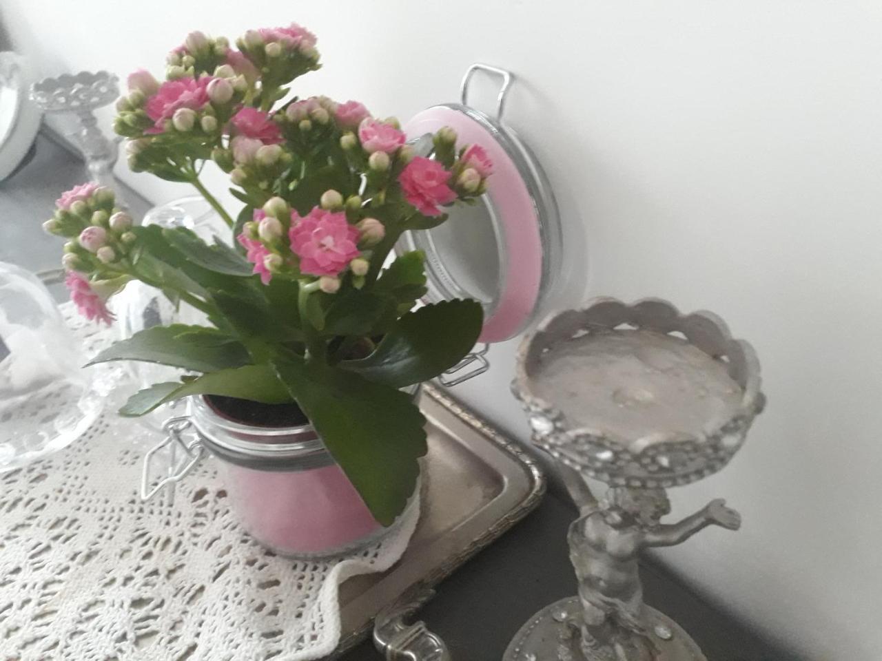 Aux Roses De L'Etang Ξενοδοχείο Capestang Εξωτερικό φωτογραφία