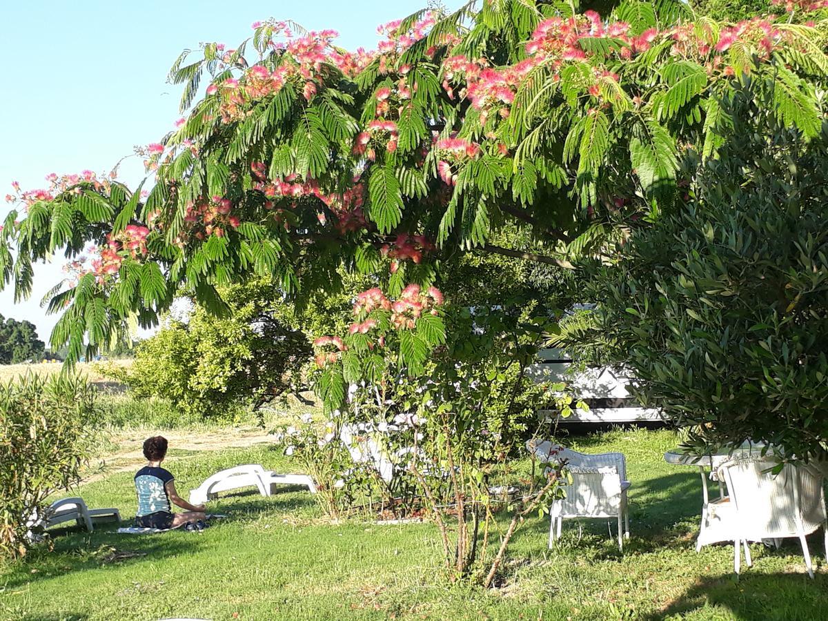 Aux Roses De L'Etang Ξενοδοχείο Capestang Εξωτερικό φωτογραφία