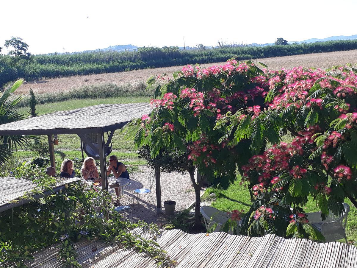 Aux Roses De L'Etang Ξενοδοχείο Capestang Εξωτερικό φωτογραφία