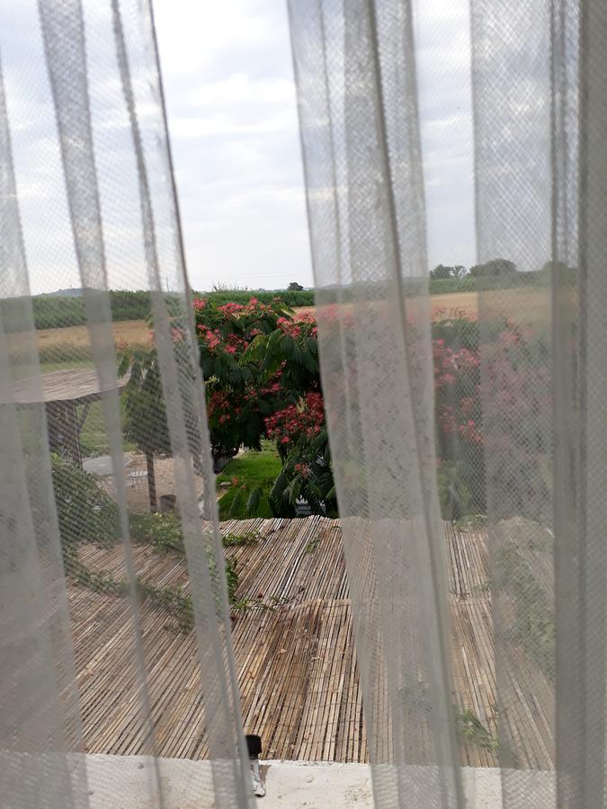 Aux Roses De L'Etang Ξενοδοχείο Capestang Εξωτερικό φωτογραφία